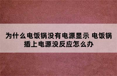 为什么电饭锅没有电源显示 电饭锅插上电源没反应怎么办